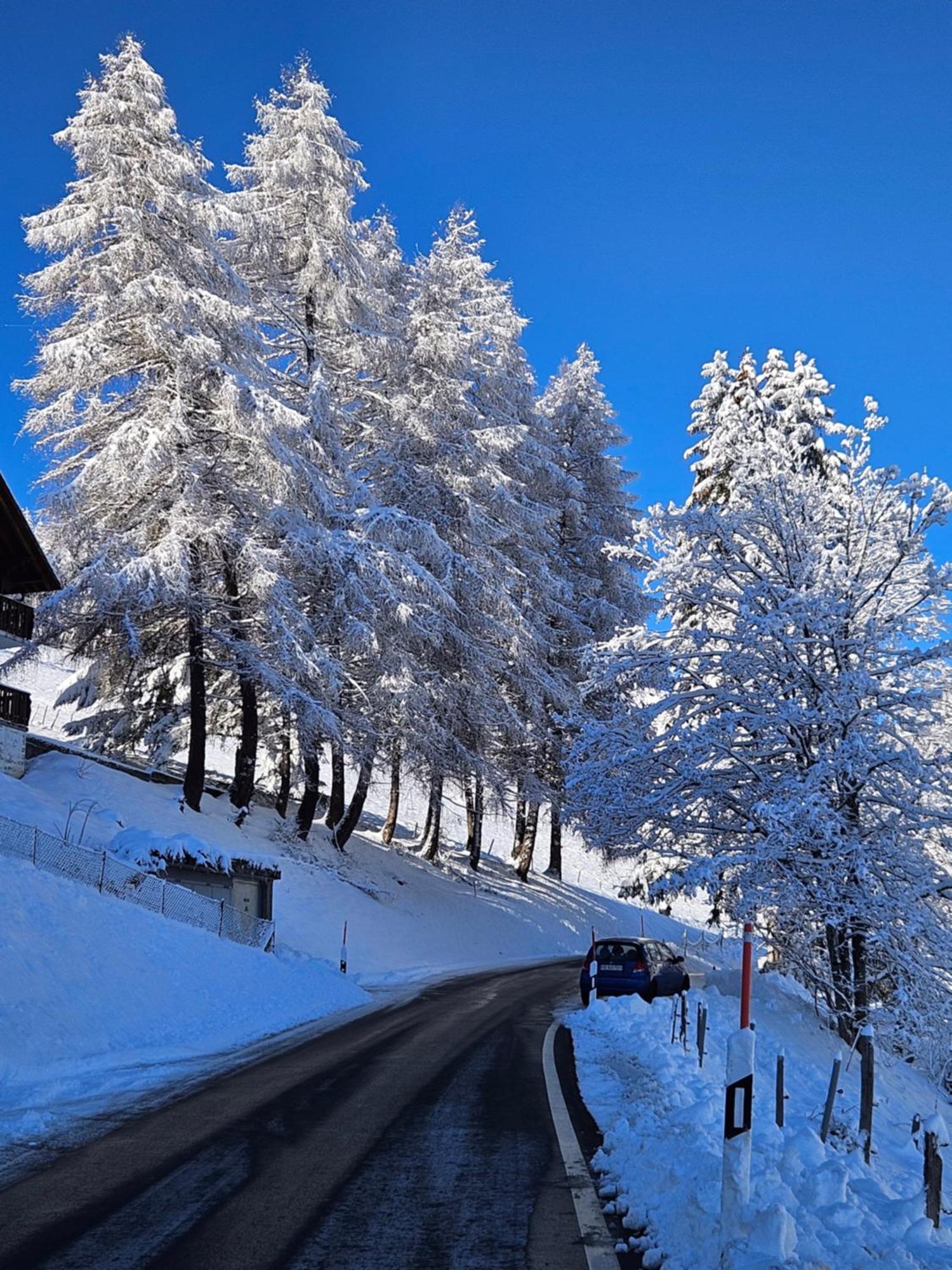 Sweet & Cosy Chalet In The Heart Of The Swiss Alps Troistorrents 外观 照片